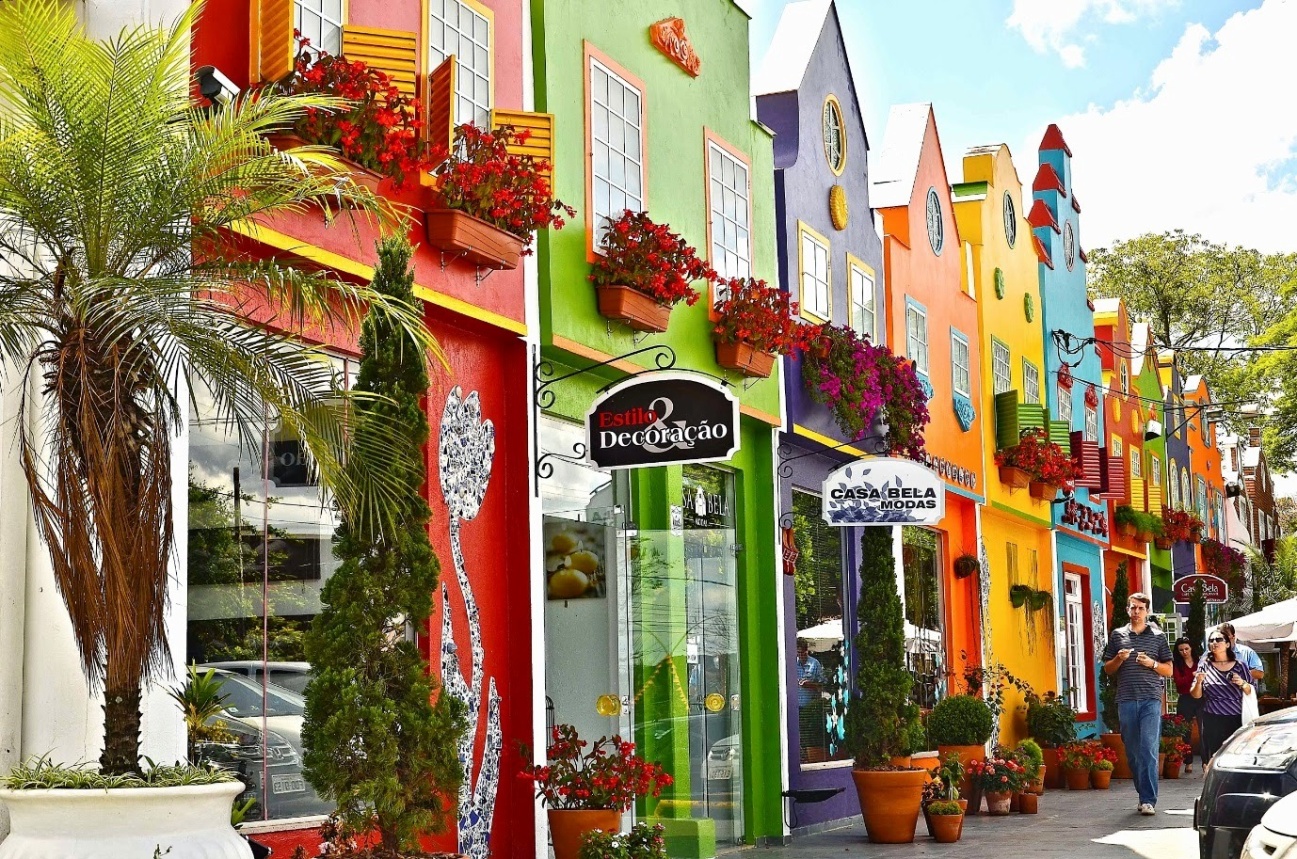 Campos de flores em Holambra, cidade das flores